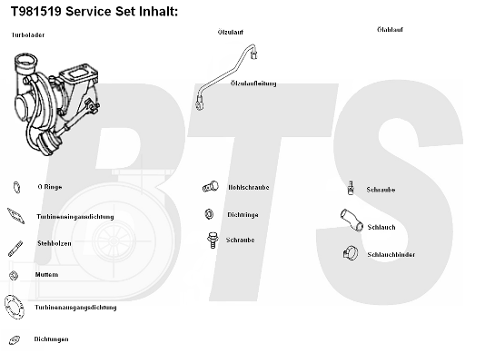 Compresor,sistem de supraalimentare T981519 BTS Turbo